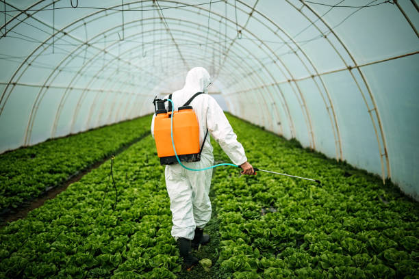 Best Pest Control for Businesses  in Grass Lake, MI