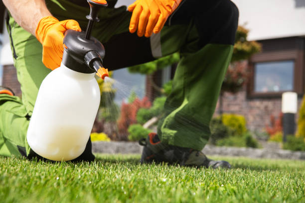 Best Best Pest Control Companies  in Grass Lake, MI