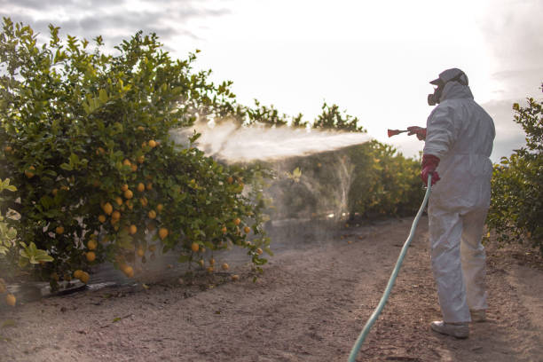 Best Pest Prevention Services  in Grass Lake, MI