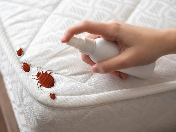 Best Wasp Removal Services  in Grass Lake, MI