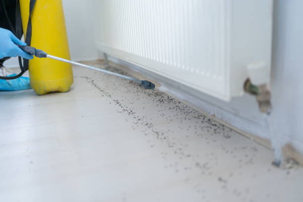Best Emergency Pest Control  in Grass Lake, MI