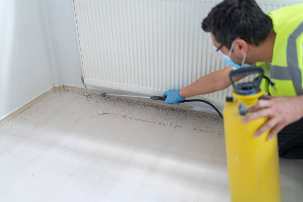 Best Bed Bug Extermination  in Grass Lake, MI