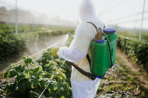 Best Pest Removal Services  in Grass Lake, MI